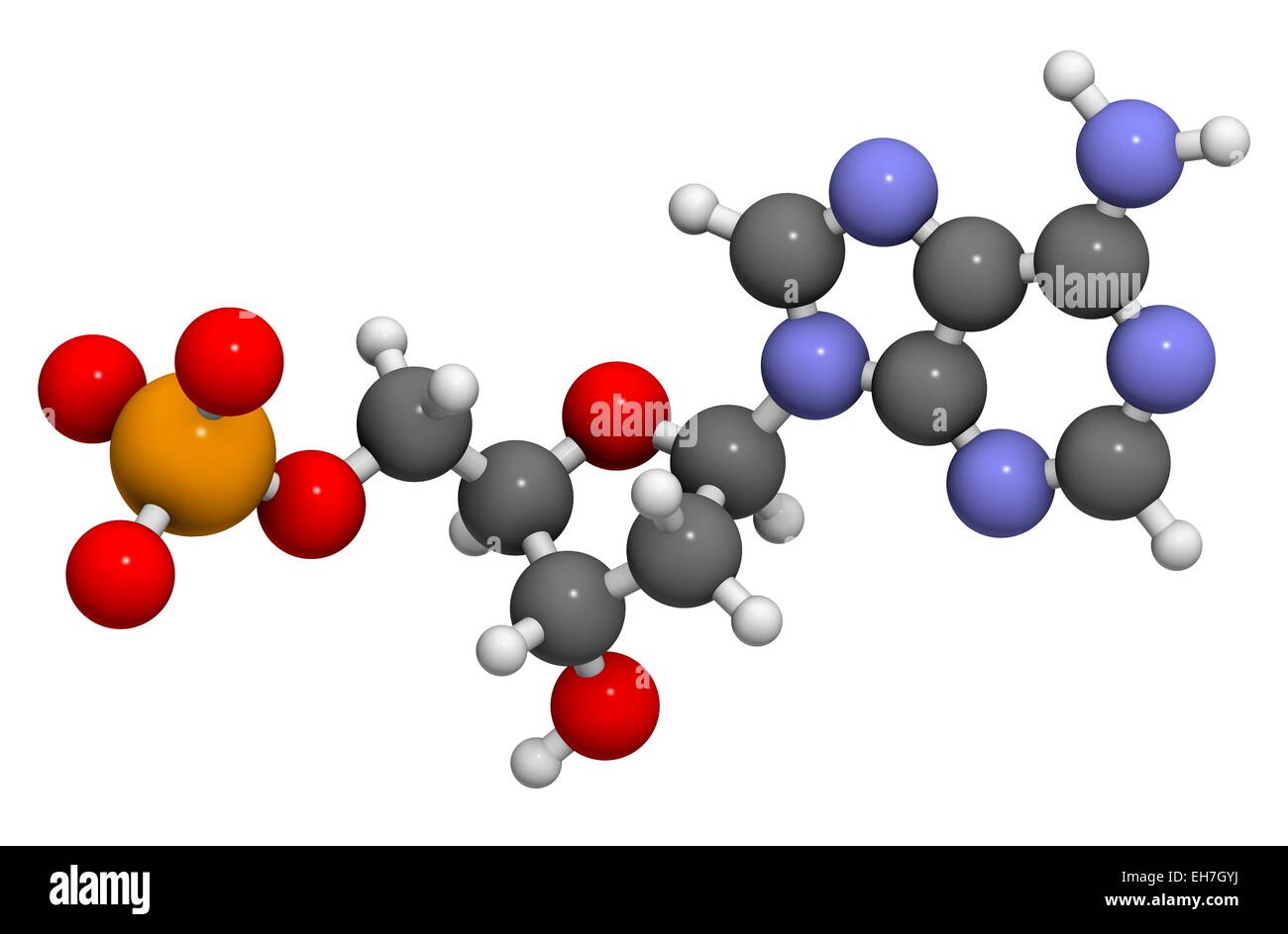 Deoxyadenosine Monophosphate Molekül Stockfoto