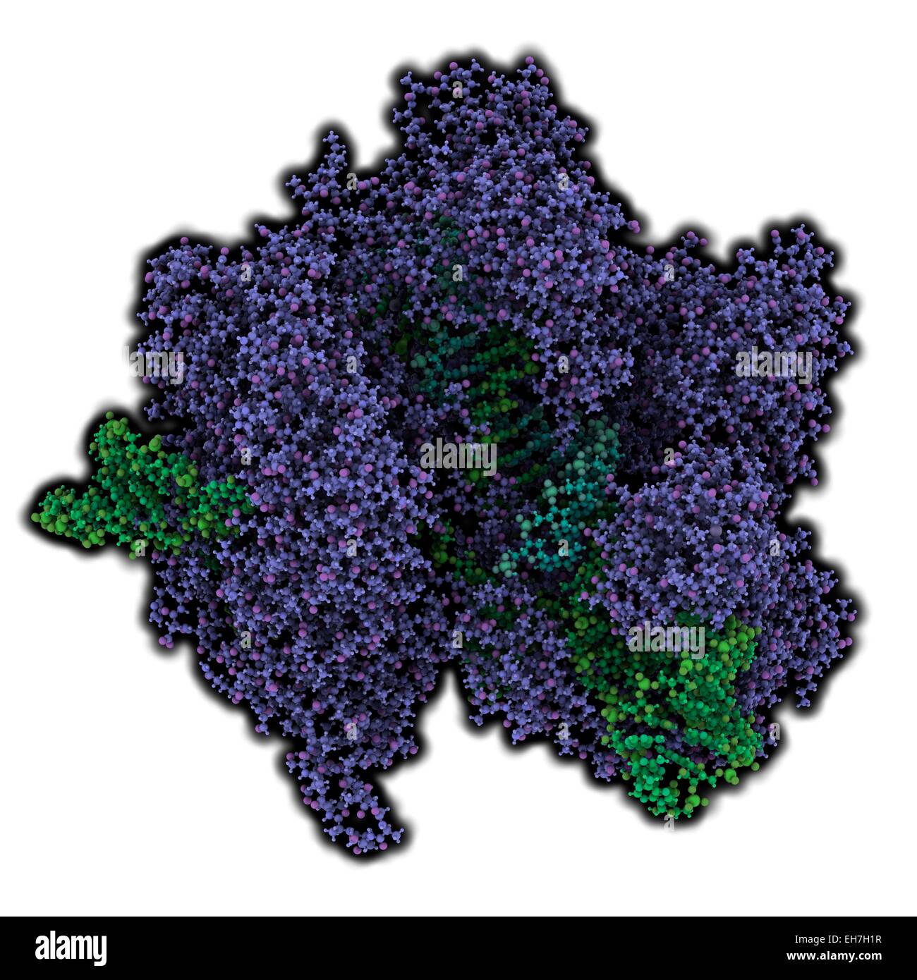 Bearbeitung komplexer CRISPR-CAS9-gen Stockfoto