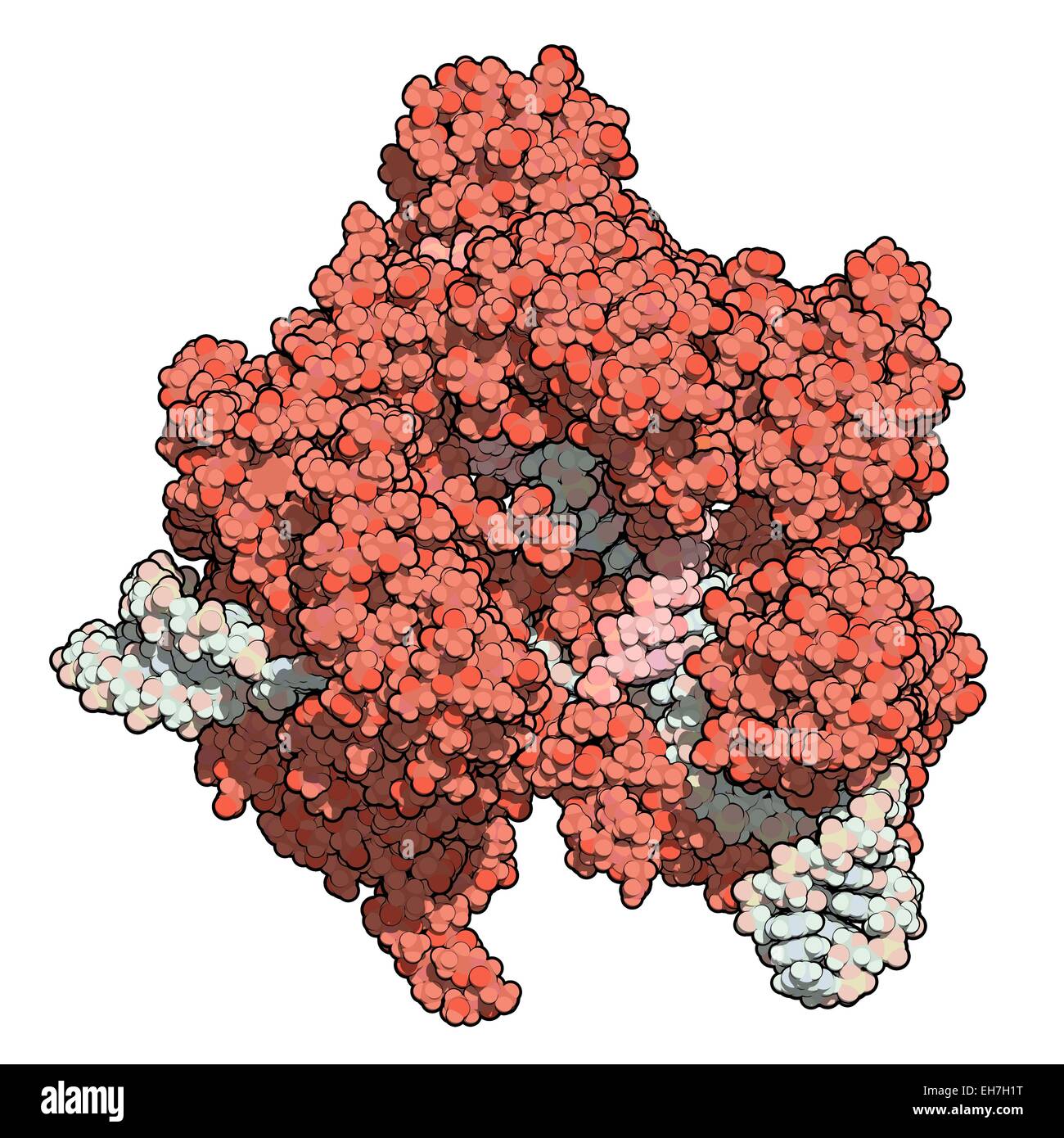 Bearbeitung komplexer CRISPR-CAS9-gen Stockfoto