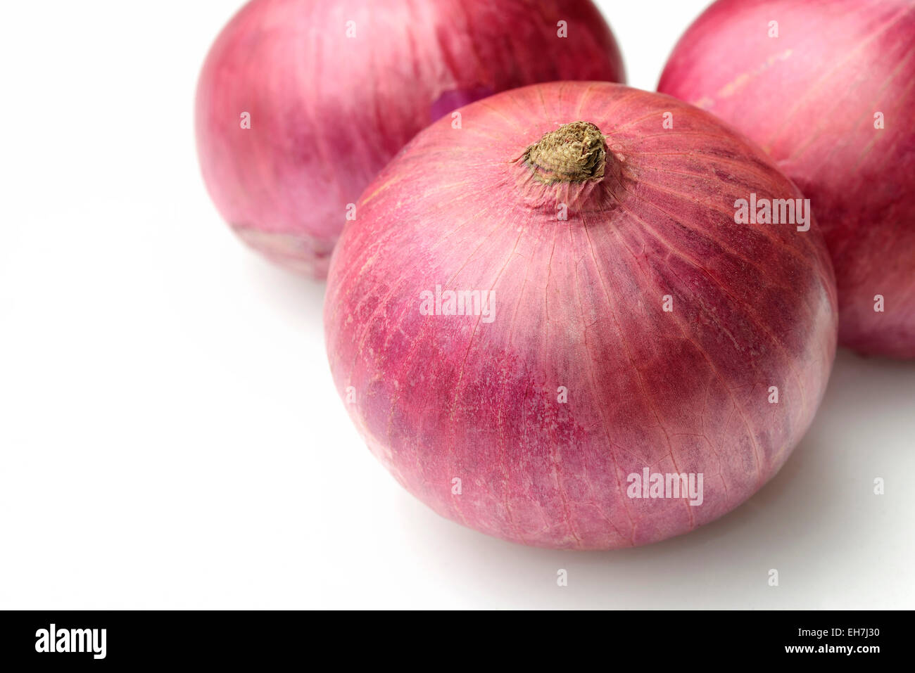 Rote Zwiebel Stockfoto