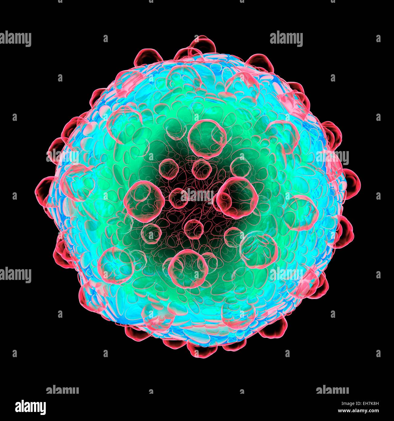 Virus, konzeptionelle Darstellung Stockfoto