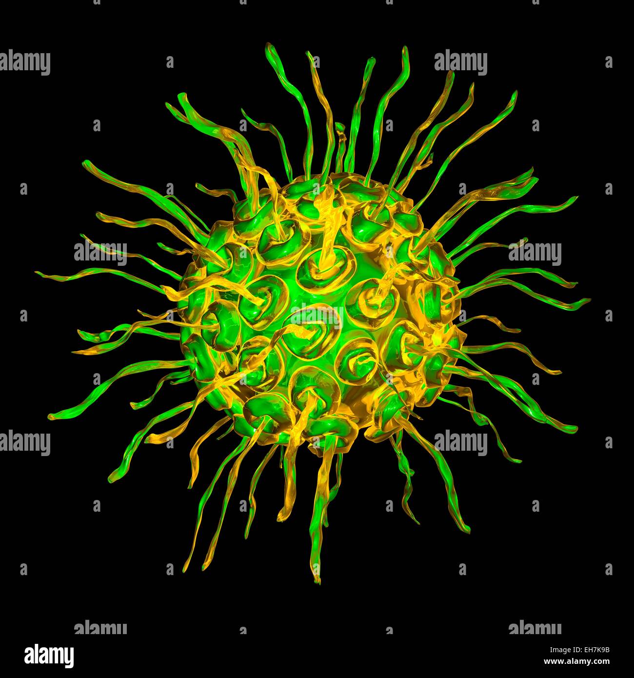 Virus, konzeptionelle Darstellung Stockfoto