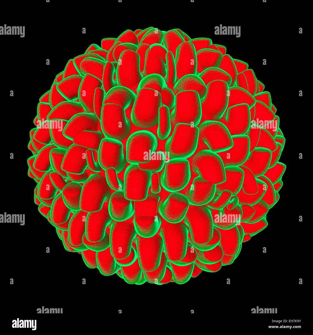 Virus, konzeptionelle Darstellung Stockfoto