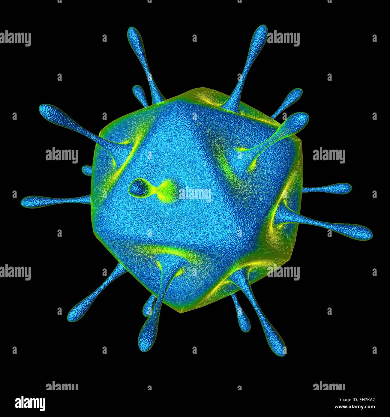 Virus, konzeptionelle Darstellung Stockfoto