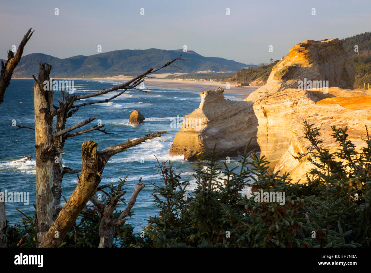 Felsformationen an der Küste am Cape Kiwanda, Oregon, USA Stockfoto
