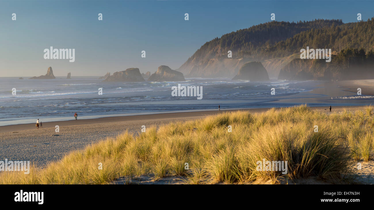 Abend-Sonne über den Strand und die Küste in Cannon Beach, Oregon, USA Stockfoto