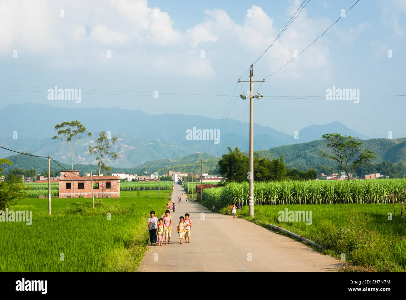 Kinder nach Hause von der Schule Weg in ländlichen Guangdong, China Stockfoto