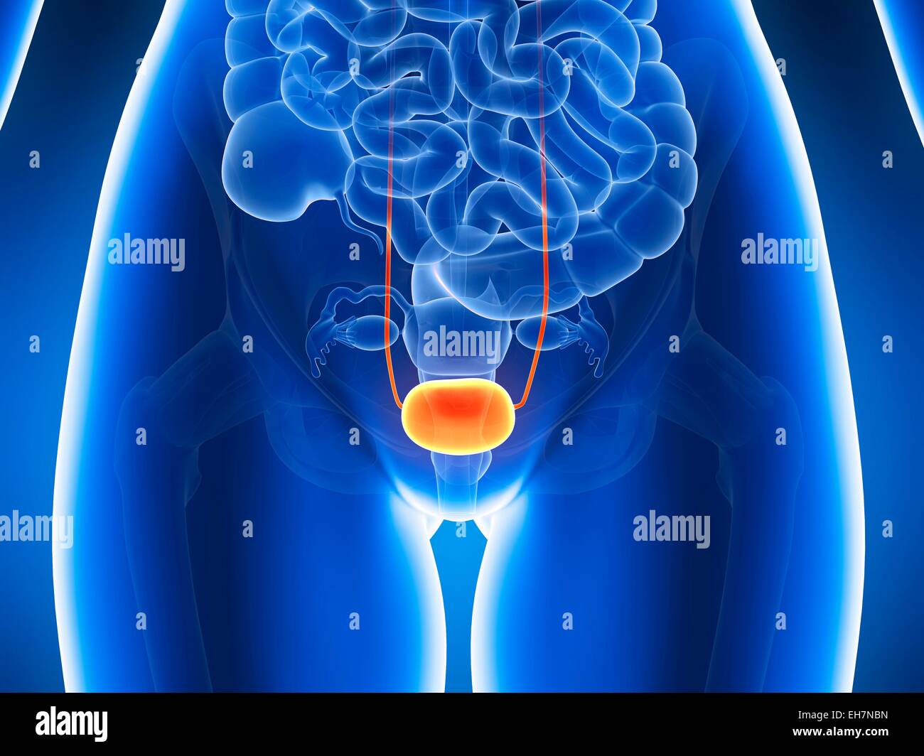 Blase Definitionmeaning