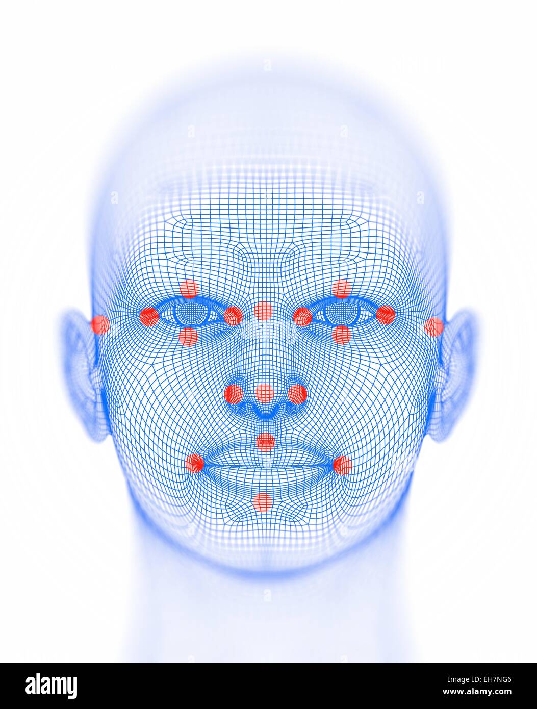 Biometrischen Gesichts Karte Stockfoto