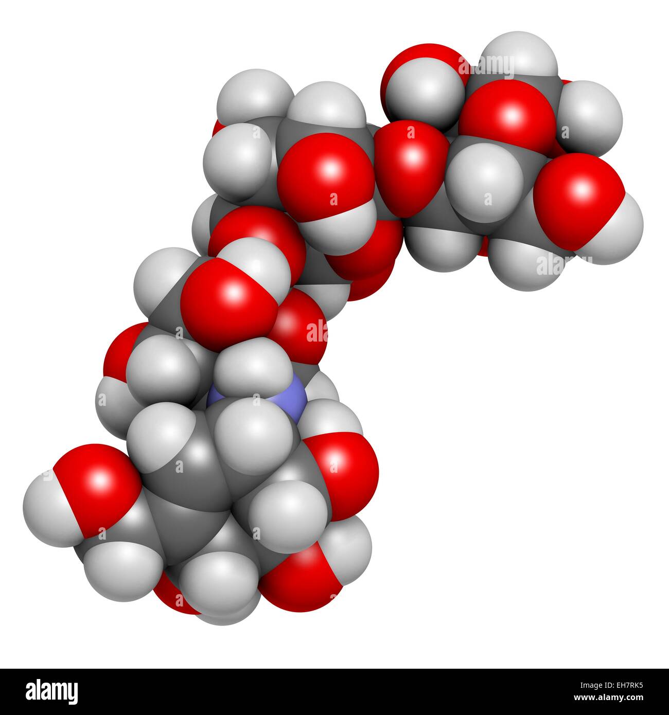 Acarbose Diabetes Wirkstoffmolekül. Chemische Formel ist C25H43NO18. Atome  werden als Kugeln dargestellt: Kohlenstoff (grau), Wasserstoff (weiß),  Stickstoff (blau), Sauerstoff (rot). Abbildung Stockfotografie - Alamy
