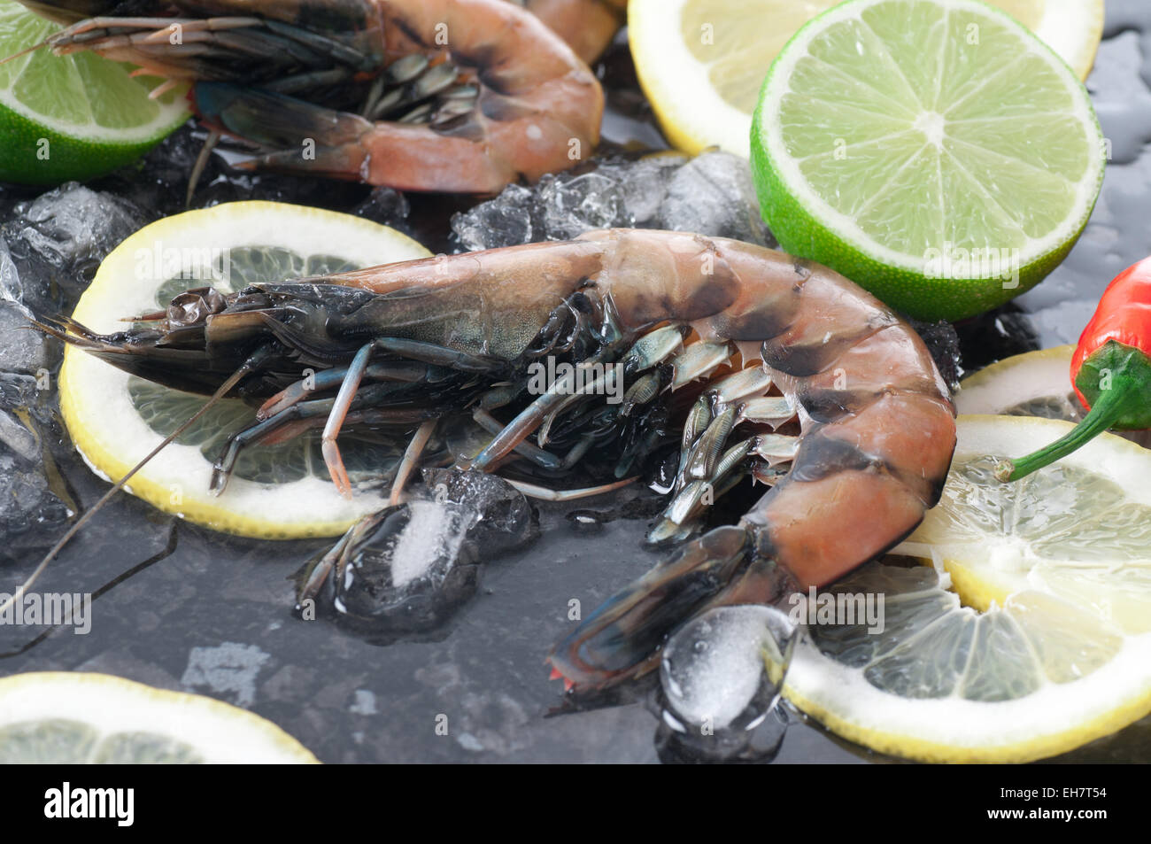 Riesengarnelen auf Eis, Zitrone und Limette. Stockfoto