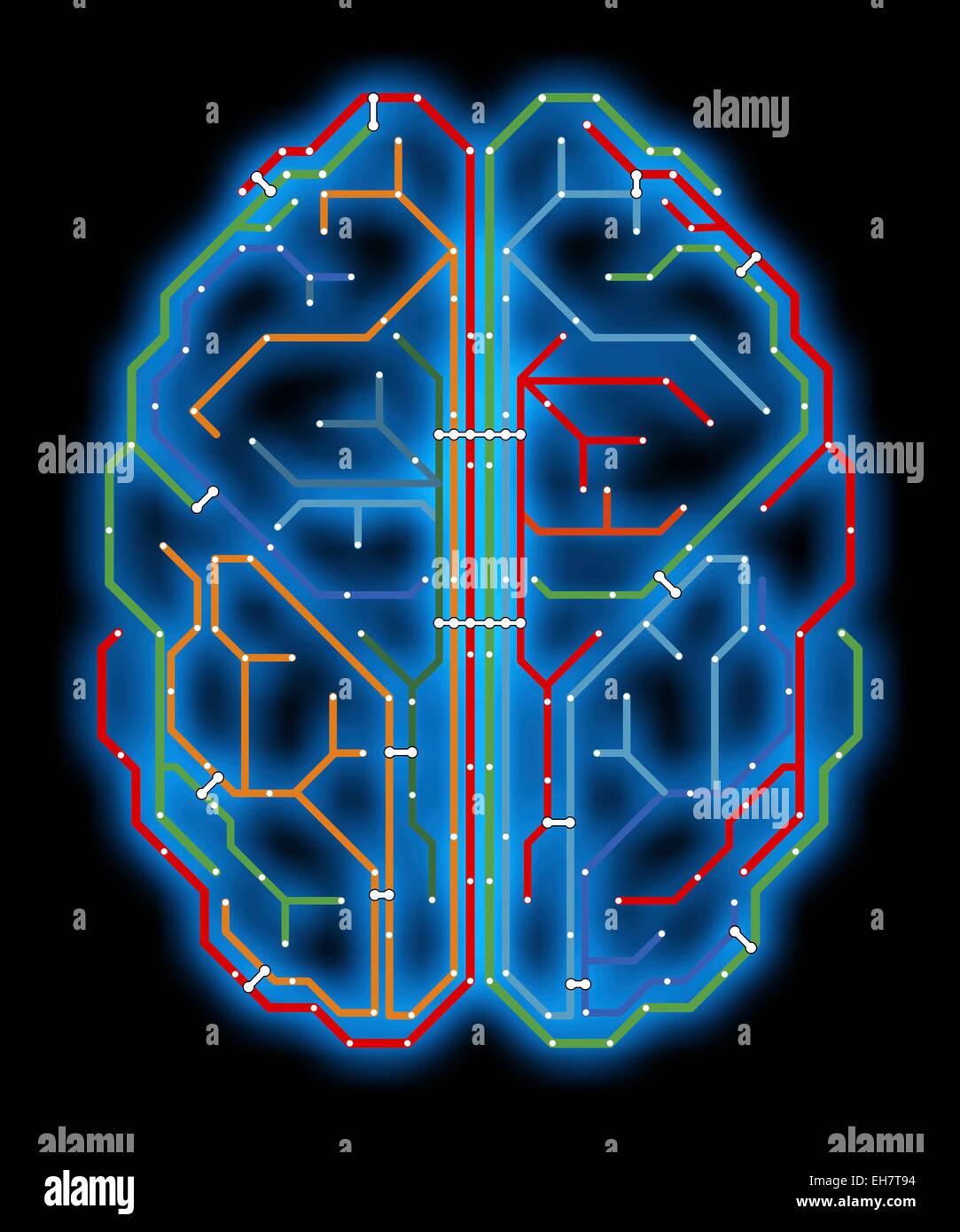 Gehirn, Netzwerk-Diagramm Stockfoto