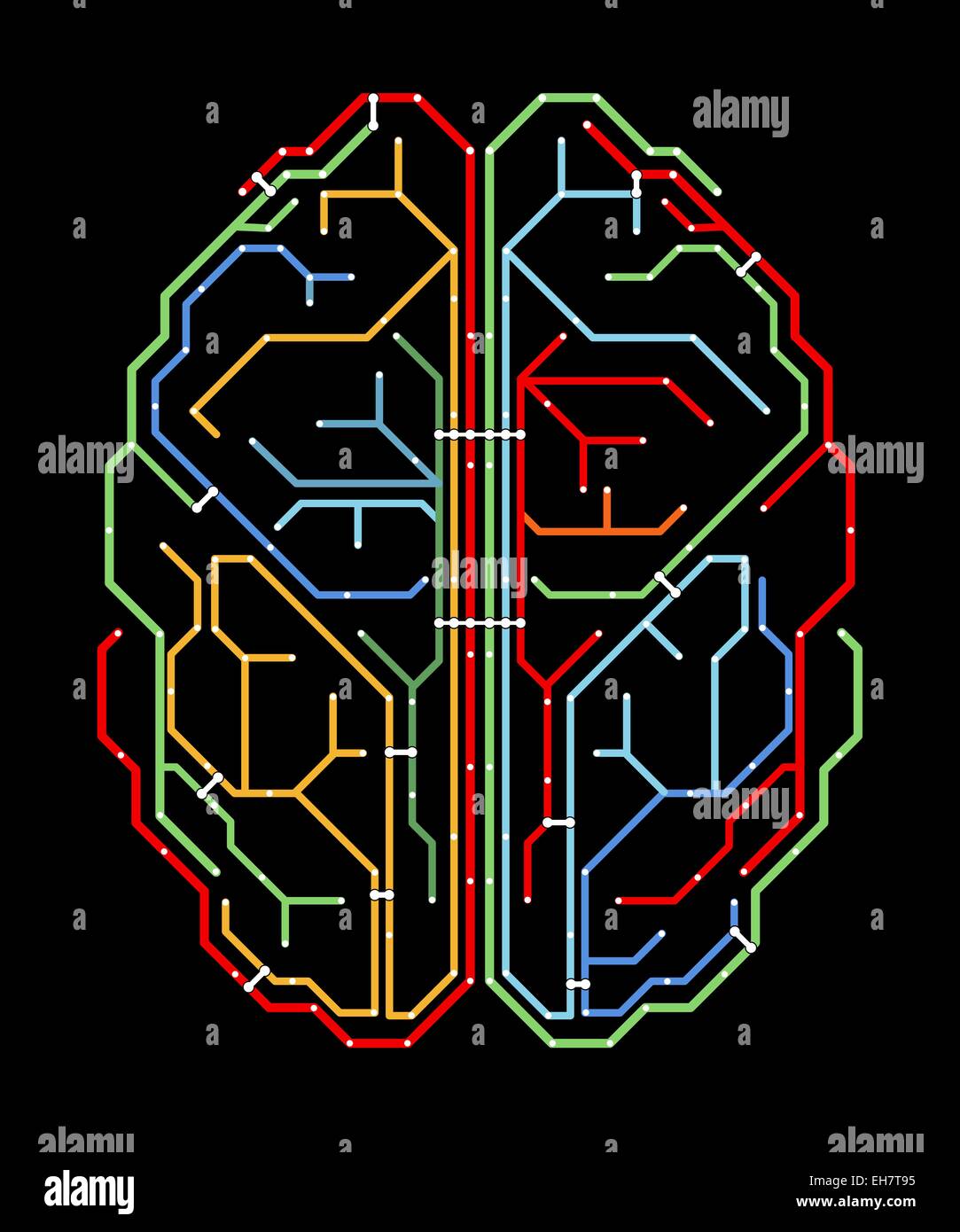 Gehirn, Netzwerk-Diagramm Stockfoto