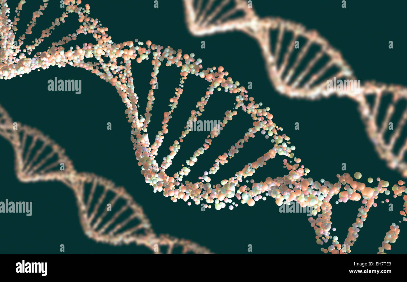 DNA-Molekül, Abbildung Stockfoto