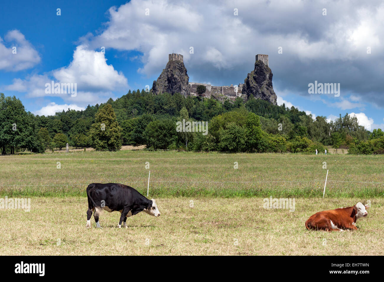 Czech Republic - Hochburg Trosky in Cesky Raj (Tschechische Paradies) mit Kühen Stockfoto