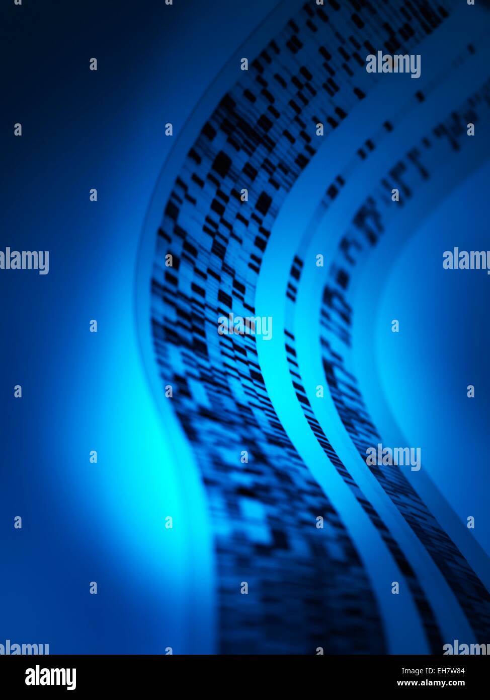 DNA-Forschung Stockfoto