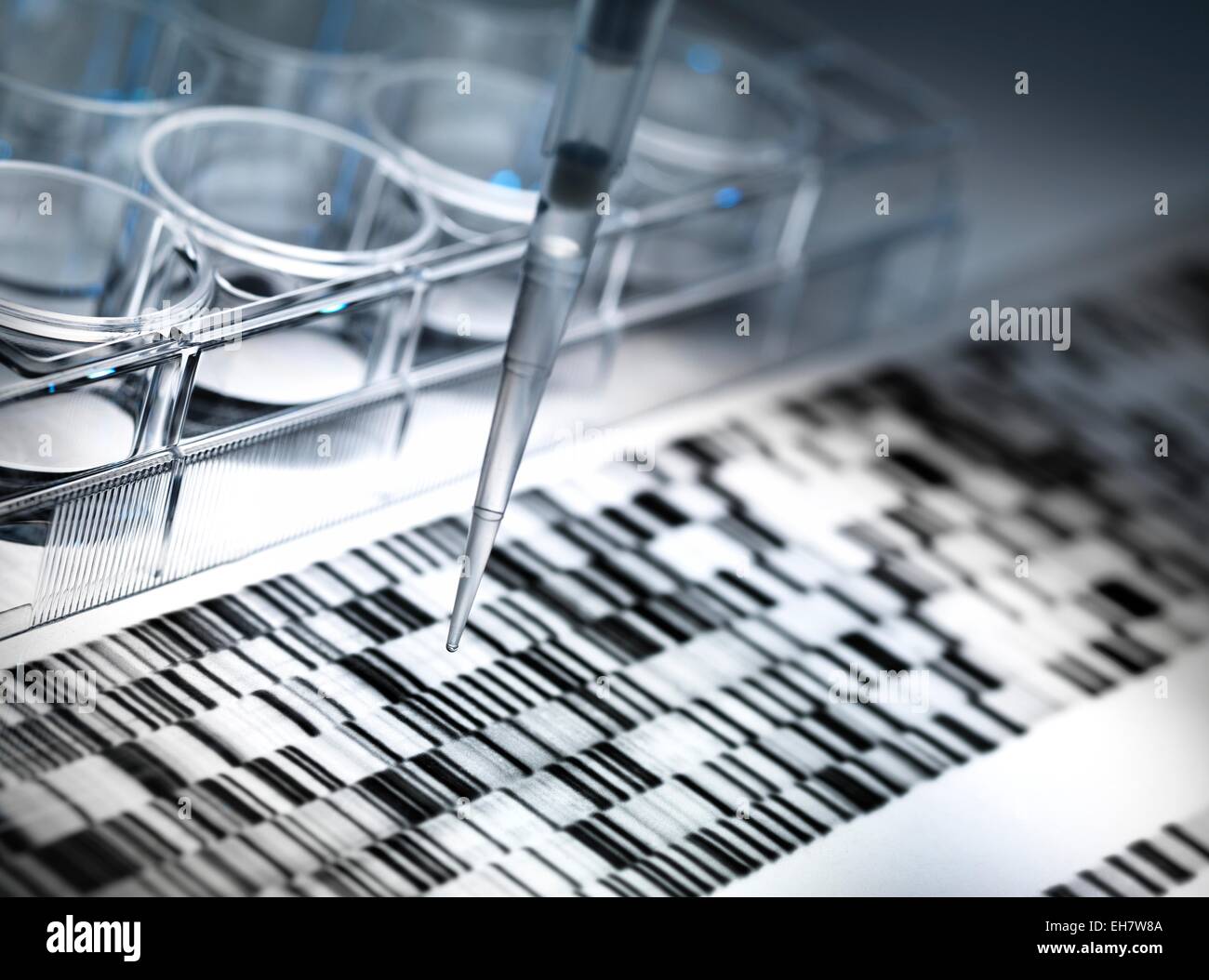 DNA-Forschung Stockfoto