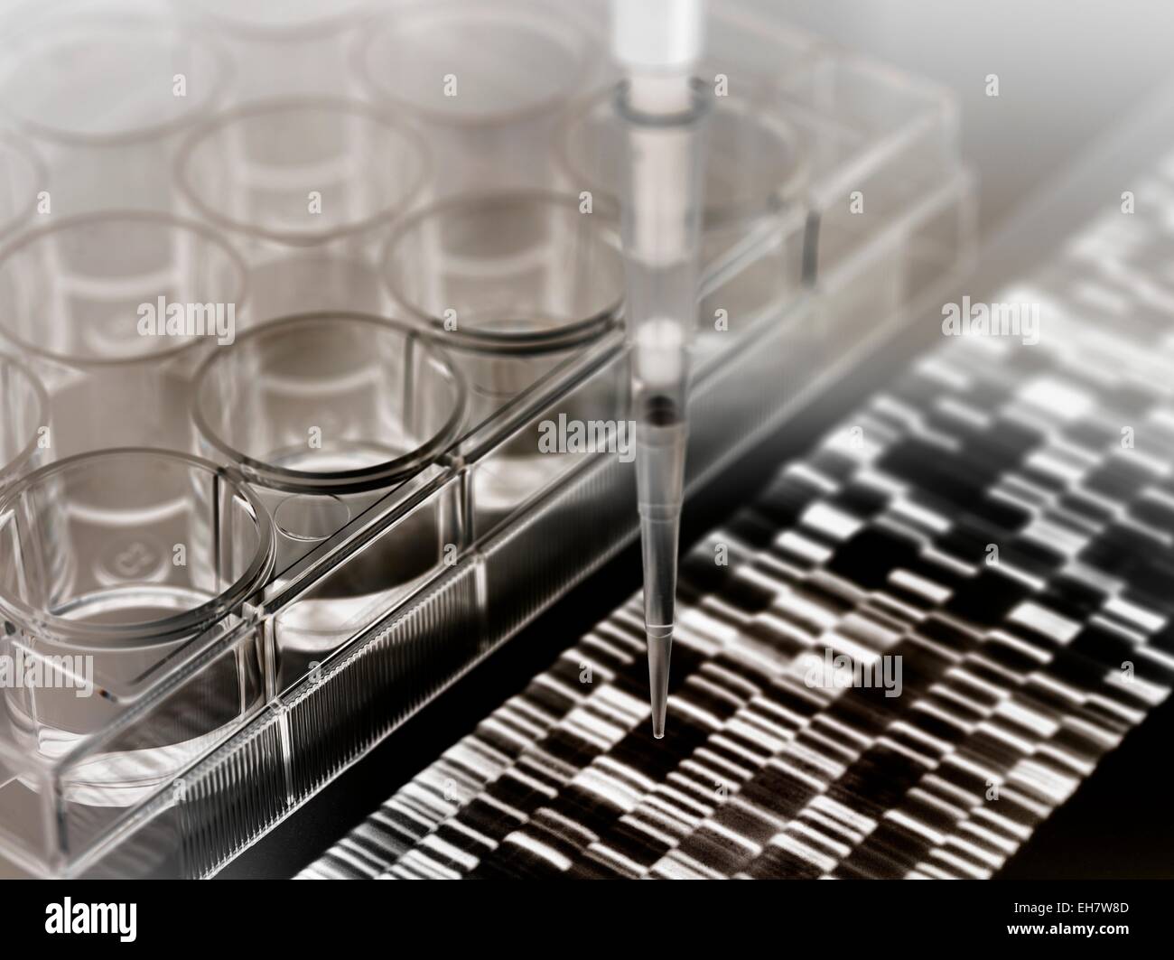 DNA-Forschung Stockfoto