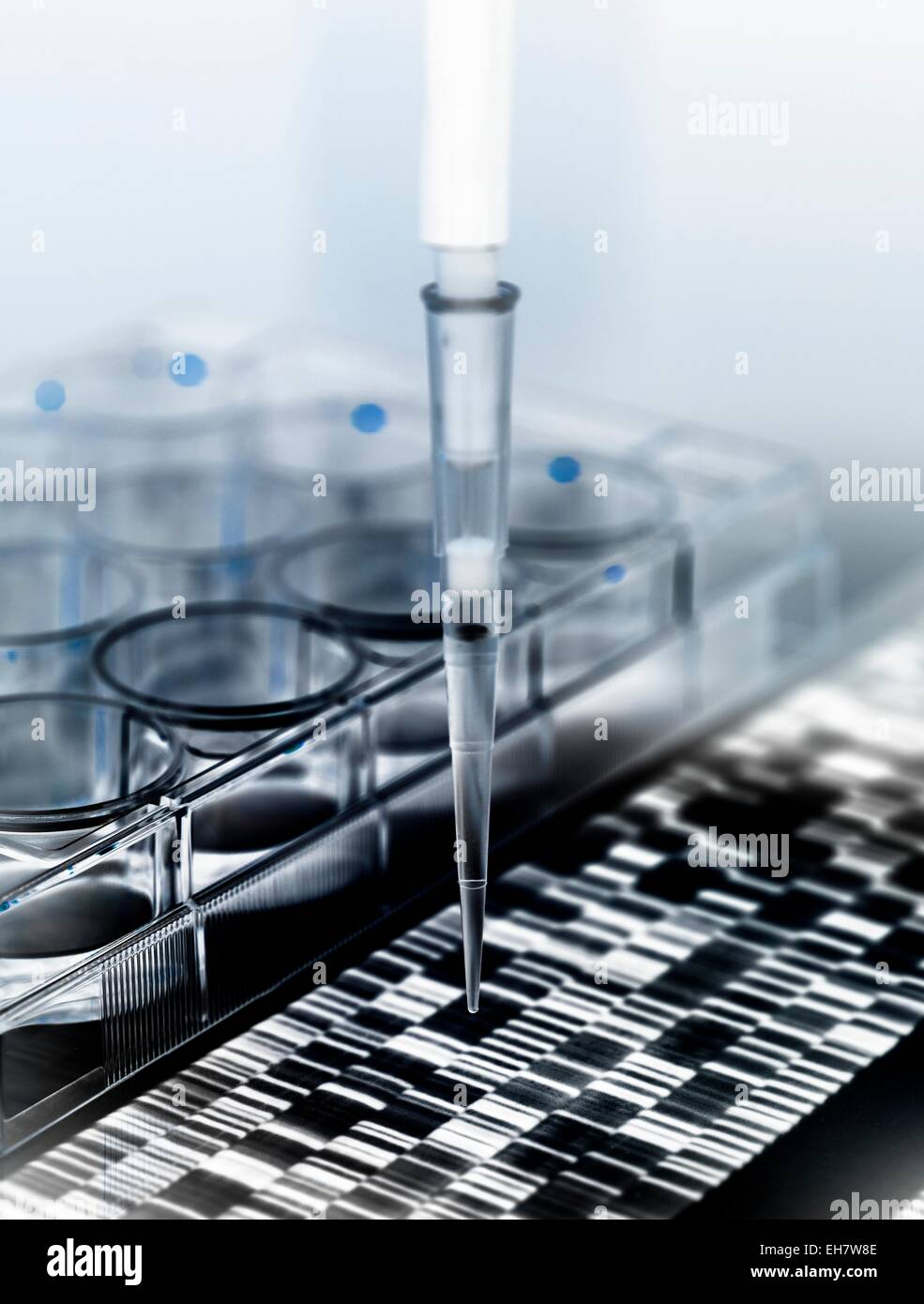 DNA-Forschung Stockfoto