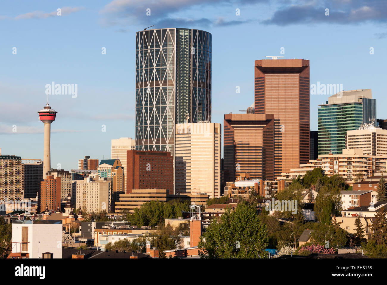 Panorama von Calgary. Calgary, Alberta, Kanada Stockfoto