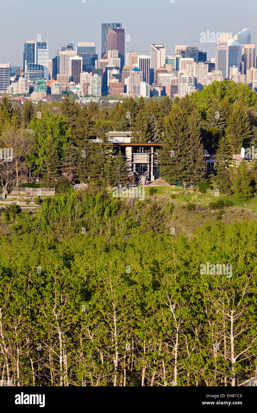 Fernblick von Calgary. Calgary, Alberta, Kanada Stockfoto