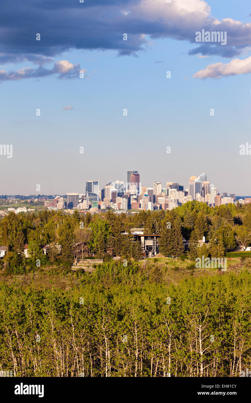 Fernblick von Calgary. Calgary, Alberta, Kanada Stockfoto