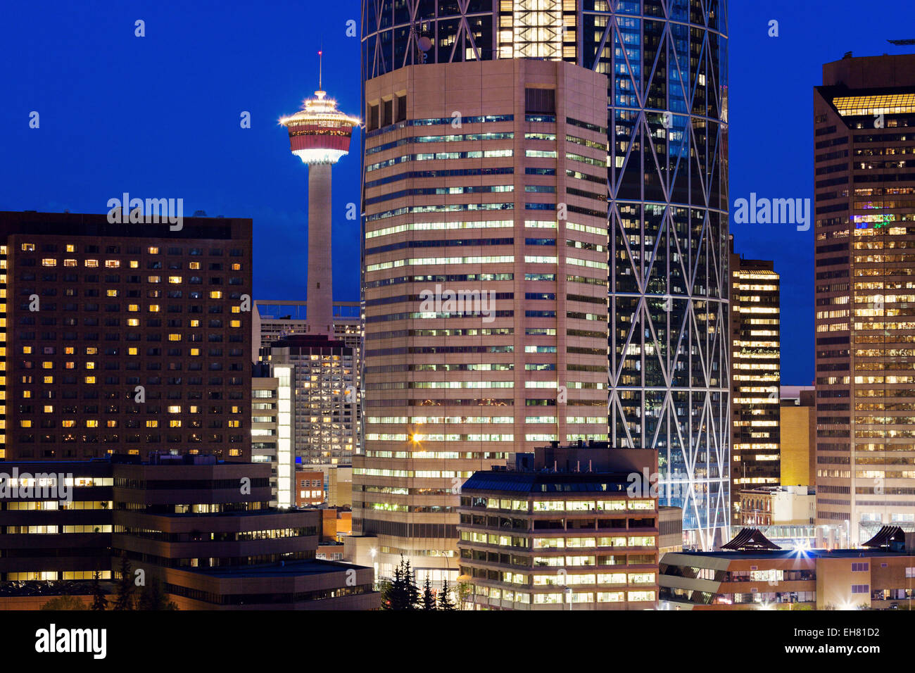 Abend-Panorama von Calgary. Calgary, Alberta, Kanada Stockfoto