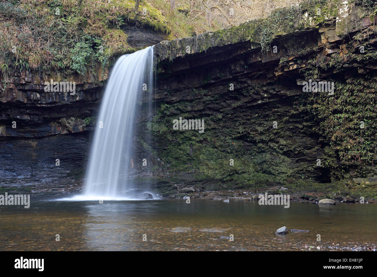 Die Lady-Wasserfälle (Sgwd Gwladus) im Frühjahr Stockfoto