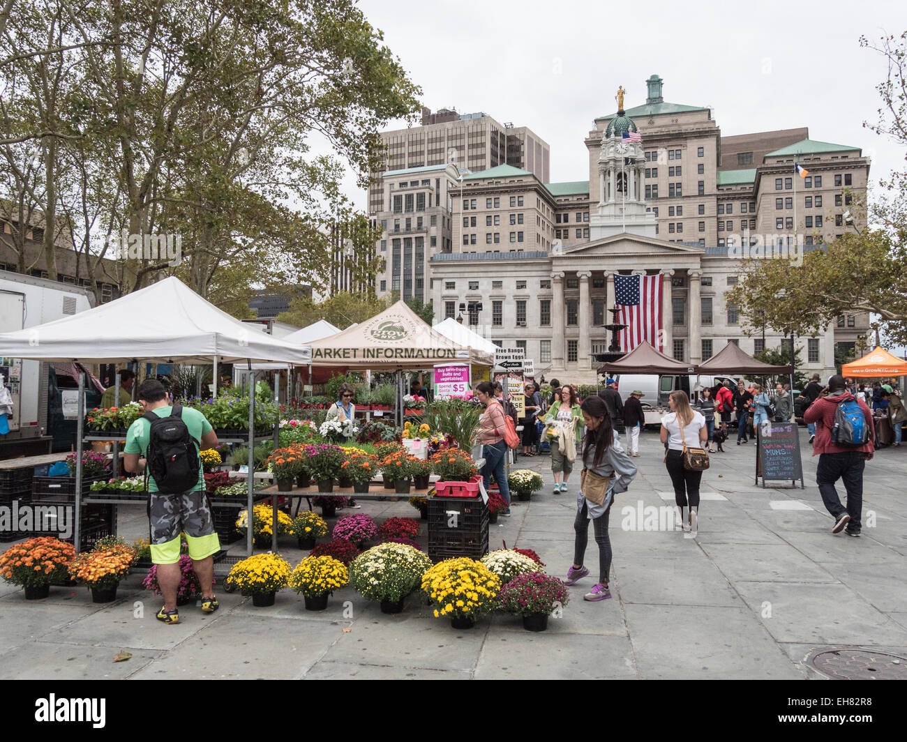 Greenmarket vor Brooklyn Borough Hall, Brooklyn, New York, Vereinigte Staaten von Amerika, Nordamerika Stockfoto