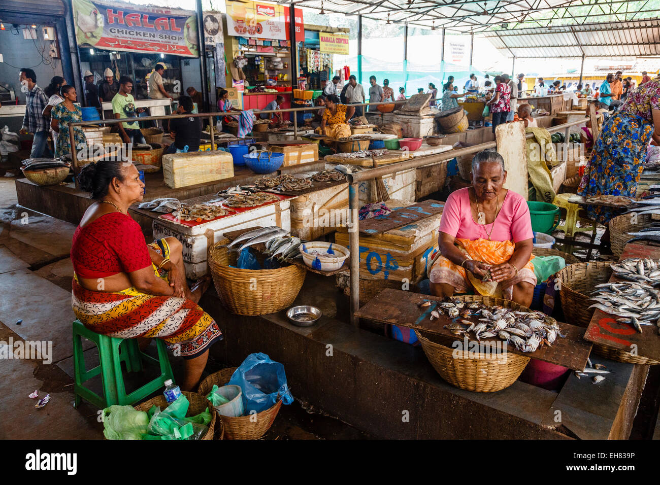 Fisch Markt, Calangute, Goa, Indien, Asien Stockfoto
