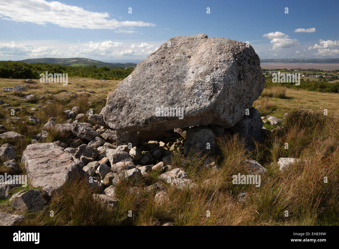 Arthur Stein (Maen Ceti, Maen Cetty) eine neolithische gekammert Dolmen, Gower Halbinsel, Swansea, Glamorgan, Wales, Vereinigtes Königreich Stockfoto