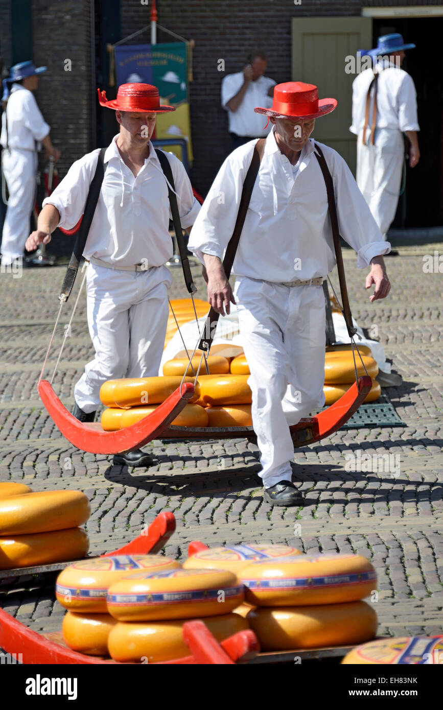 Käse-Träger tragen Laibe auf hölzernen Schlitten am Freitag Käsemarkt, Waagplein Square, Alkmaar, Niederlande Stockfoto