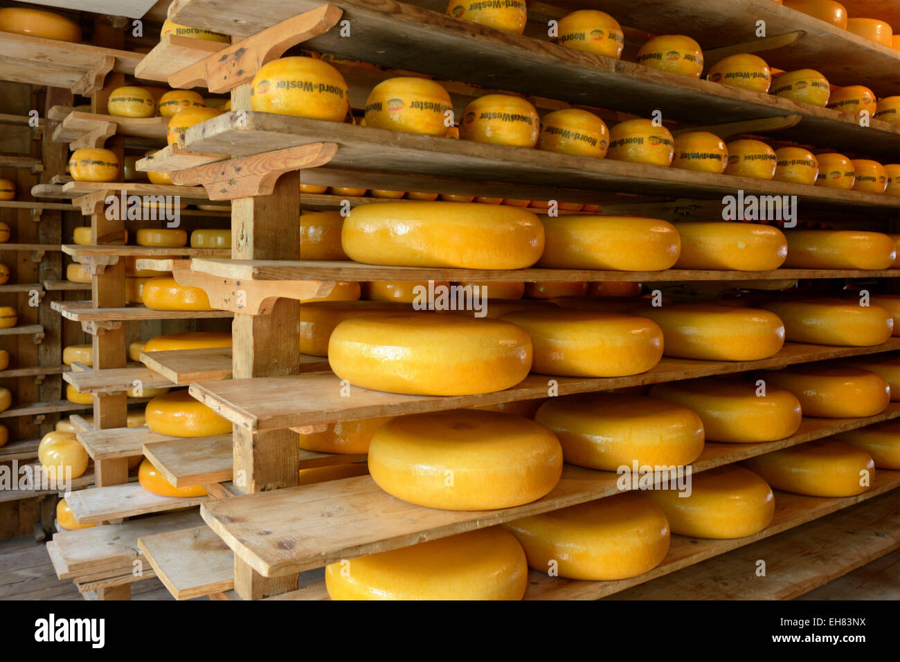 Käse-Lager, Zuiderzee Freilichtmuseum, See Ijssel, Enkhuizen, Nord-Holland, Niederlande, Europa Stockfoto