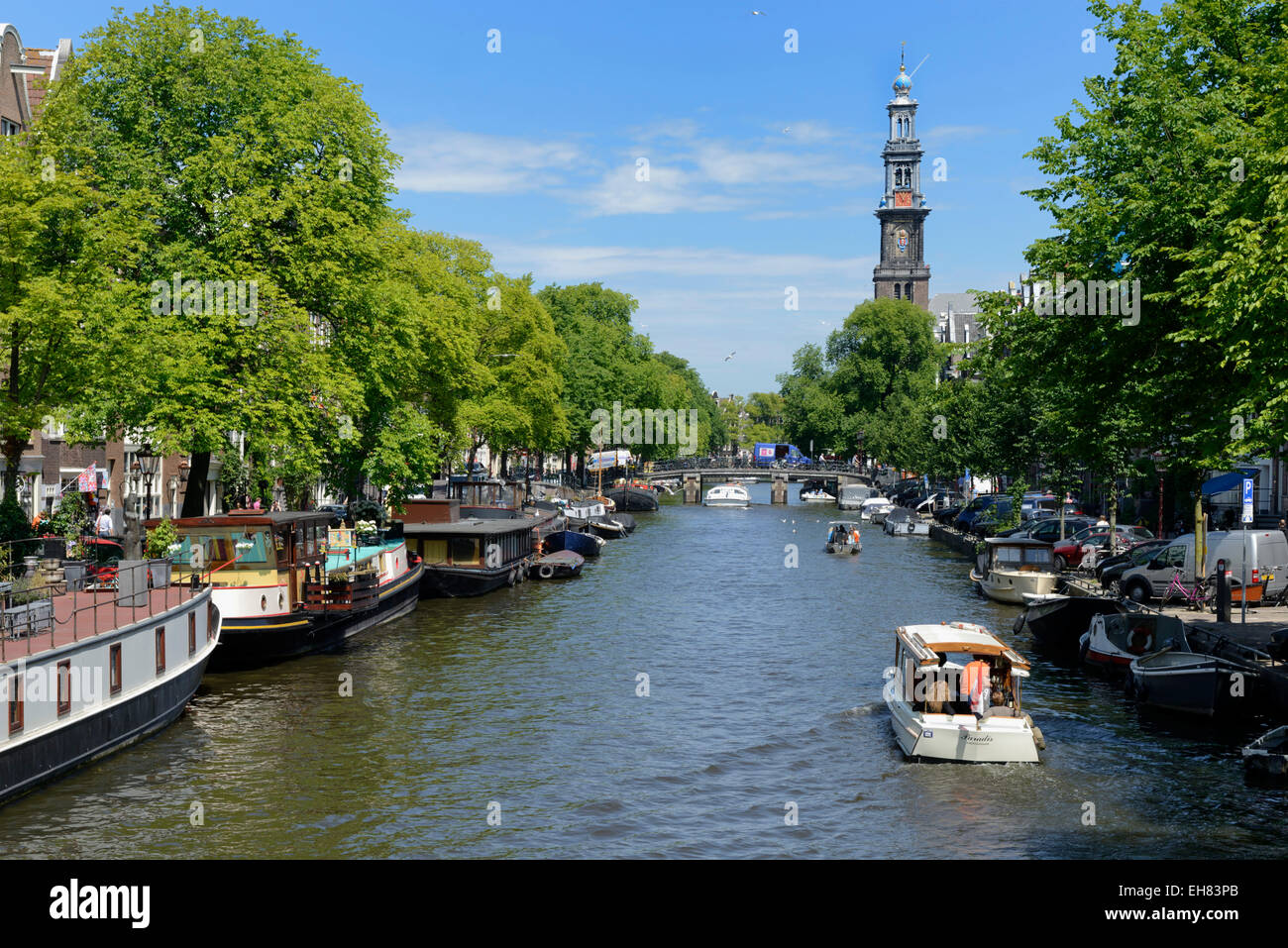 Zeigen Sie Prinsengracht Kanal entlang, mit Blick auf die Westerkerk Kirche an, Amsterdam, Noord-Holland, Niederlande, Europa Stockfoto