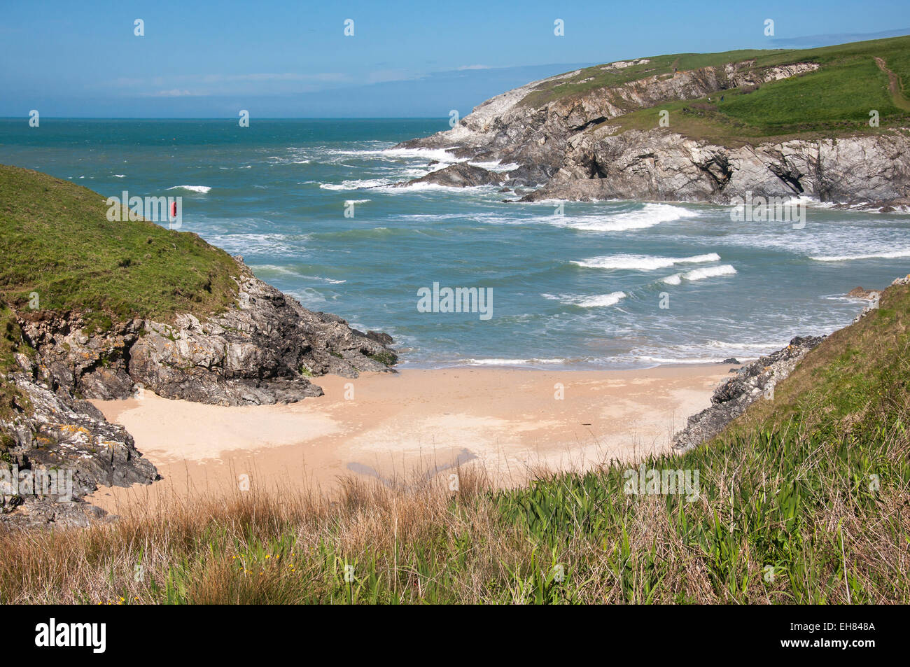 Polly Witz/Porth Witz Strand in der Nähe von Newquay in Cornwall. Einem sonnigen Frühlingstag mit Blick auf den Strand und Wellen. Stockfoto