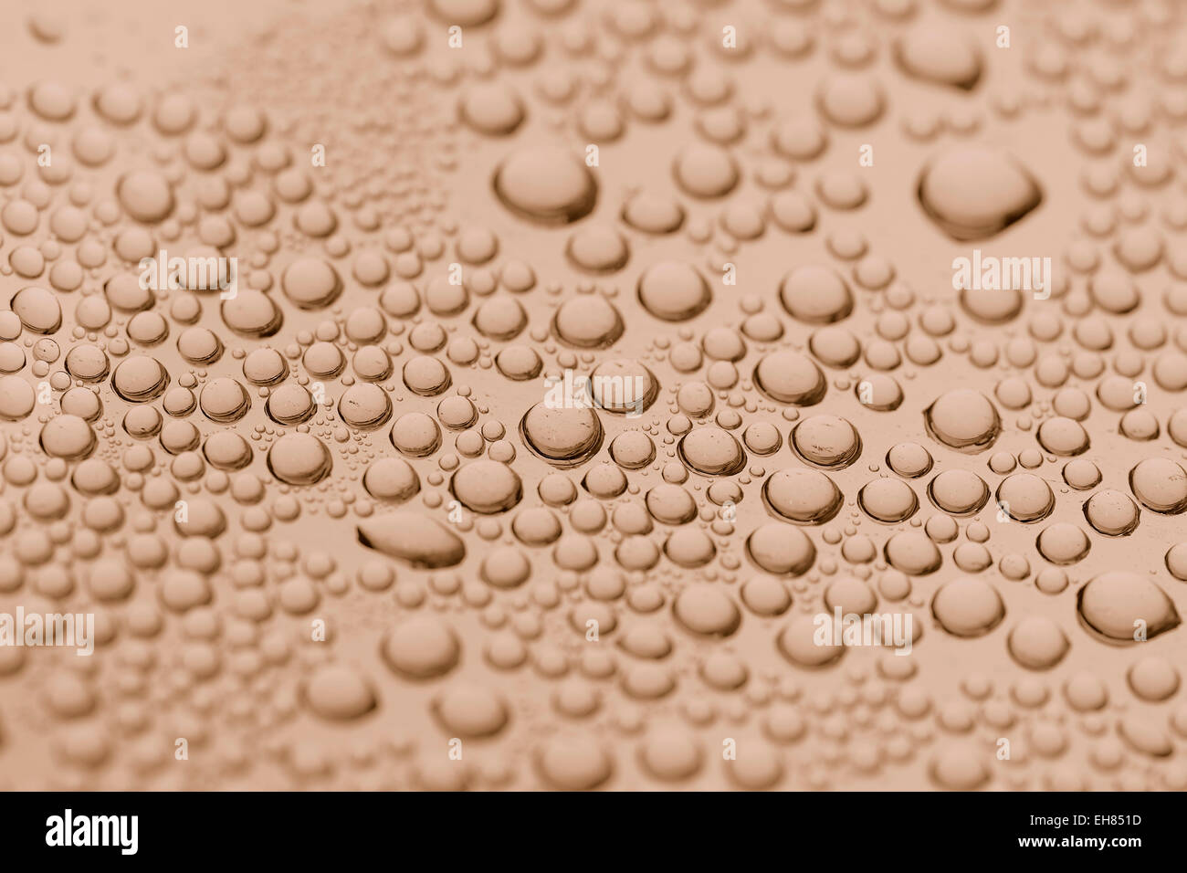Wassertropfen in Sepia Farbe Stockfoto