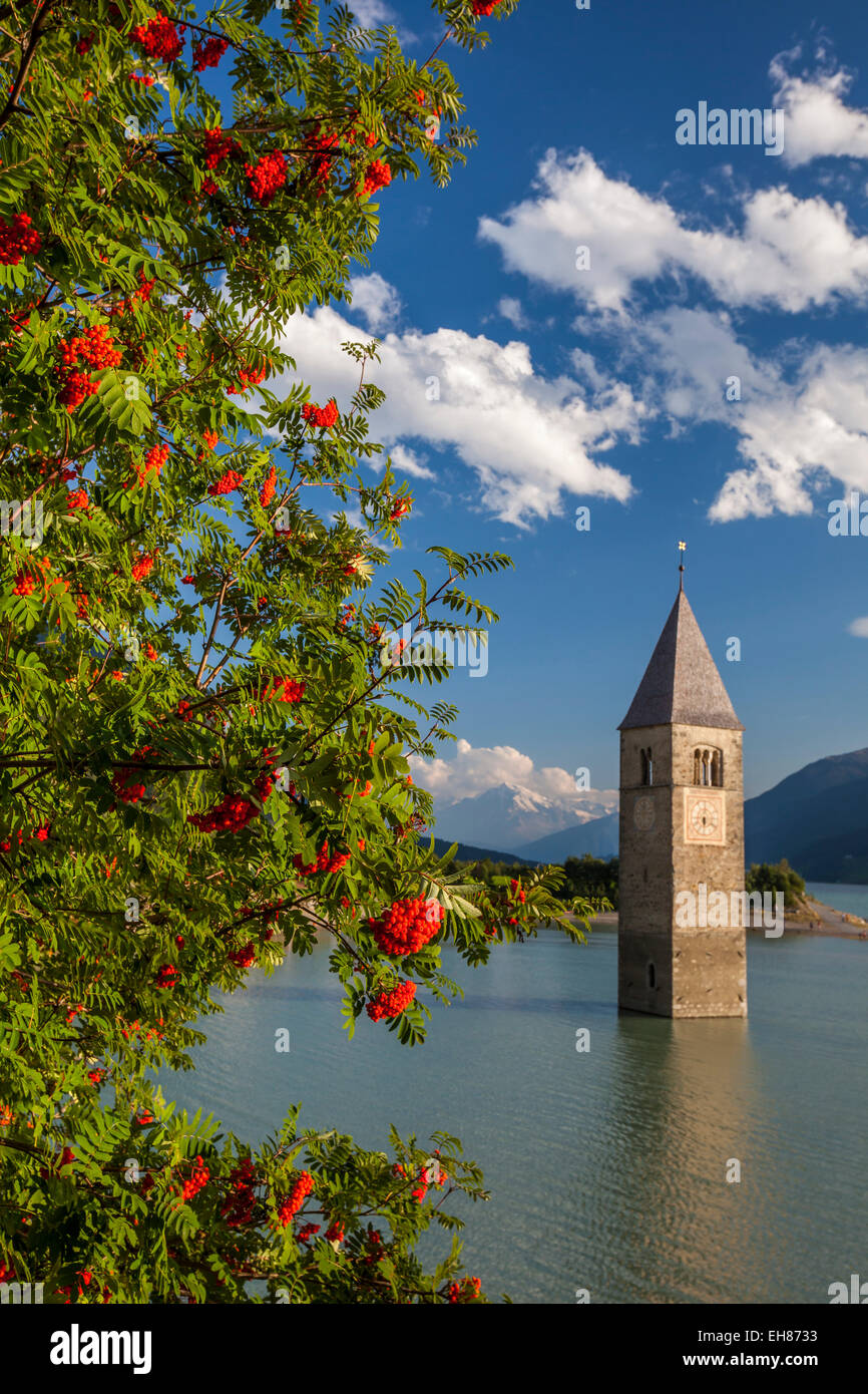 Campanile Nel Lago di Resia, Piz, Gorf und Stockerhofe, Südtirol, Italien Stockfoto