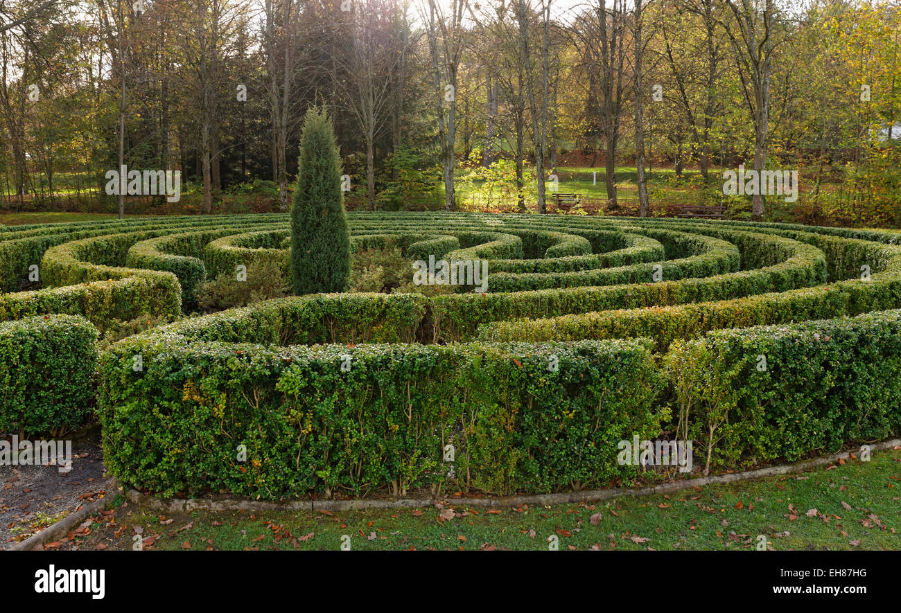 Maze, Kurpark, Bad Tatzmannsdorf, Südburgenland, Burgenland, Österreich Stockfoto