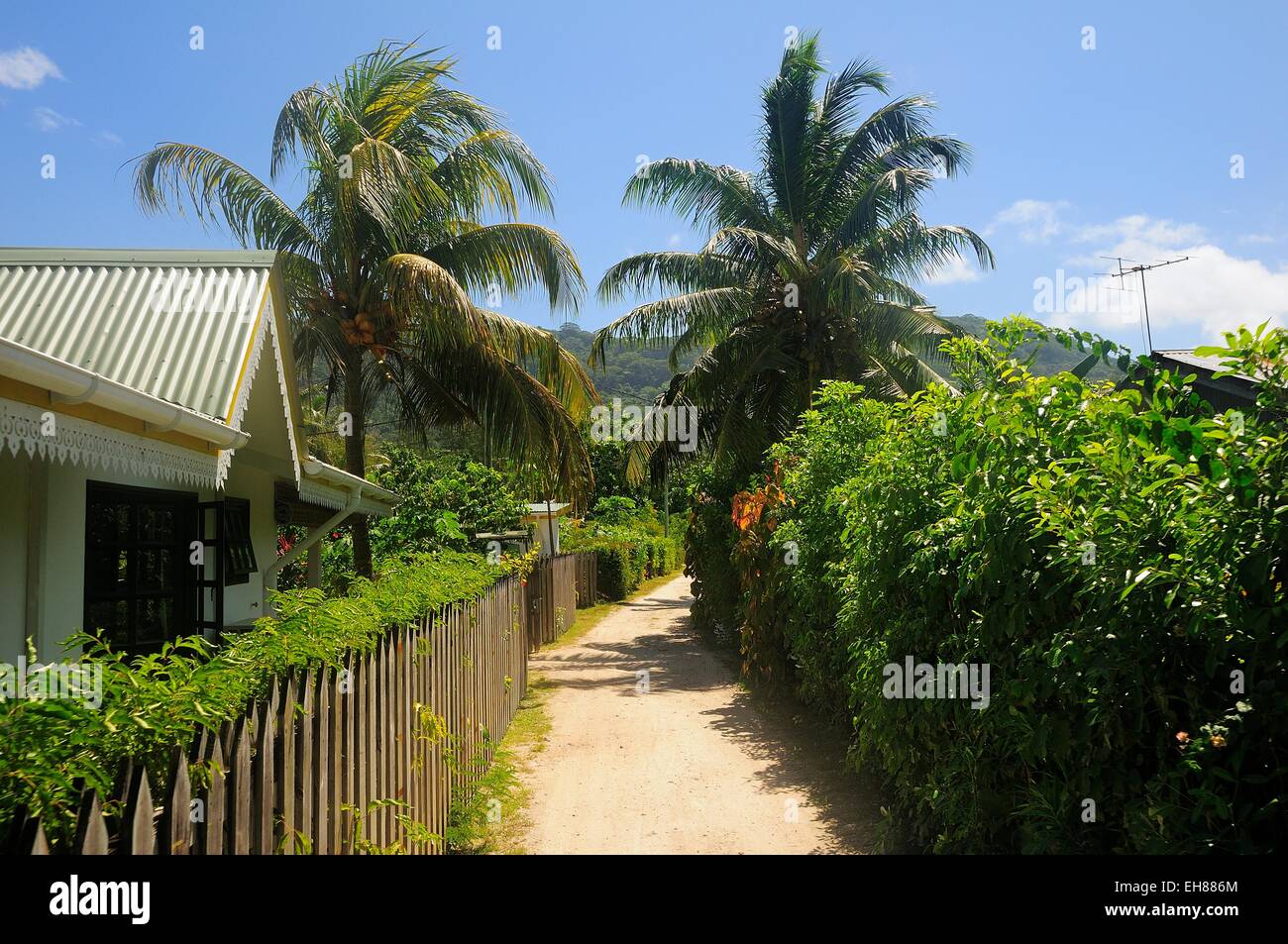 Typische Gasse in das Dorf La Passe, Insel La Digue, La Digue und Inner Islands, Seychellen Stockfoto