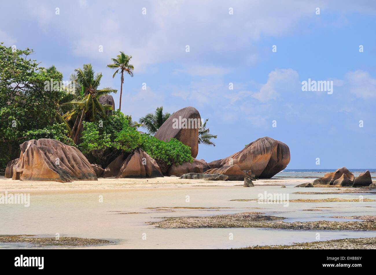 Granitfelsen und Palmen am Strand von Anse la Réunion, La Digue Island, La Digue und Inner Islands, Seychellen Stockfoto