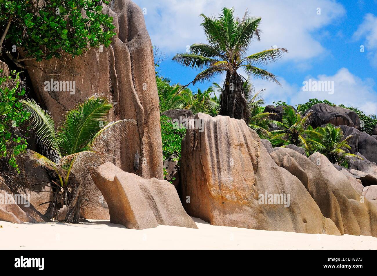 Granitfelsen und Palmen am Strand von Anse la Réunion, La Digue Island, La Digue und Inner Islands, Seychellen Stockfoto