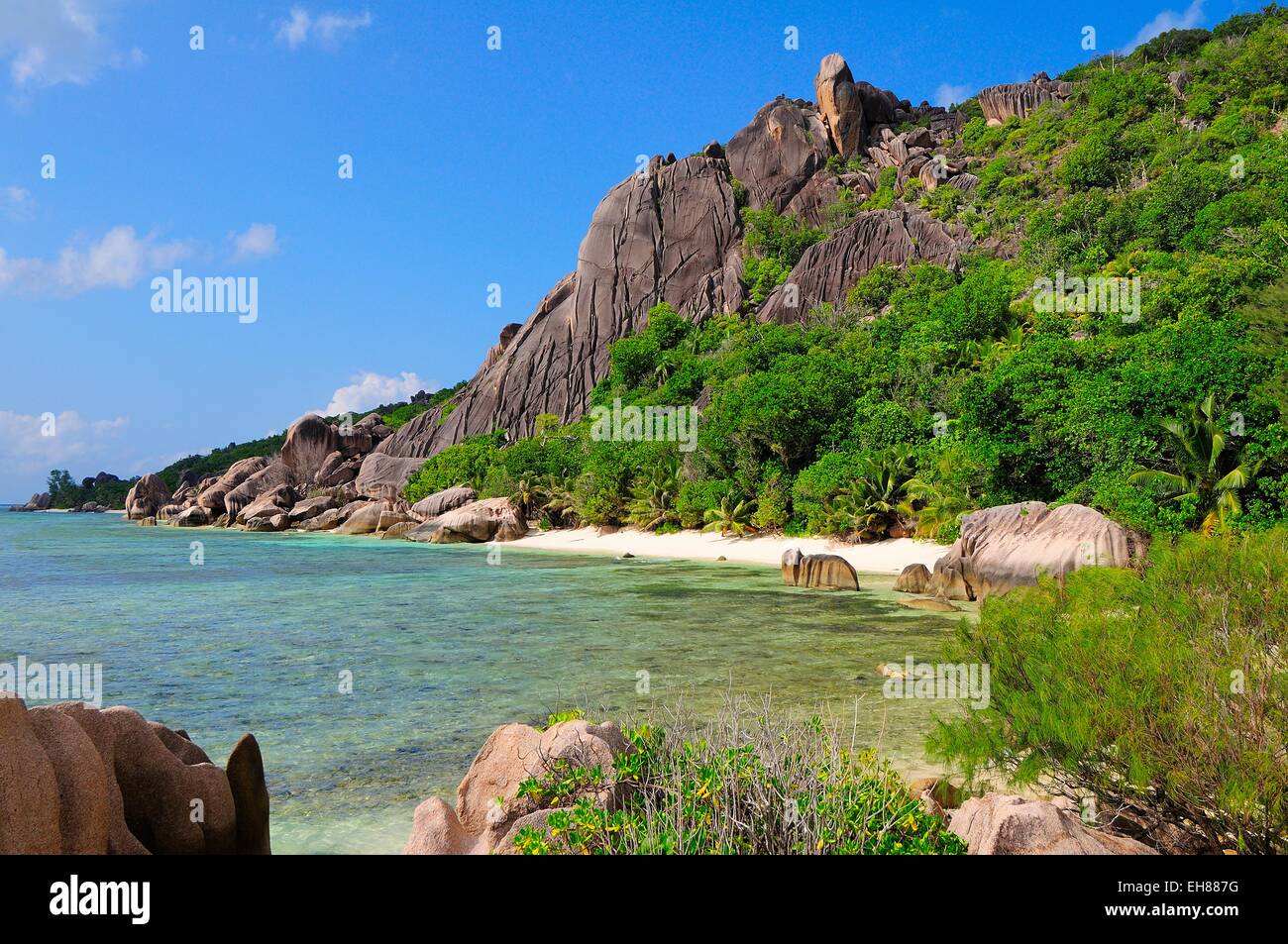Felsige Küste mit tropischer Vegetation, Insel La Digue, La Digue und Inner Islands, Seychellen Stockfoto
