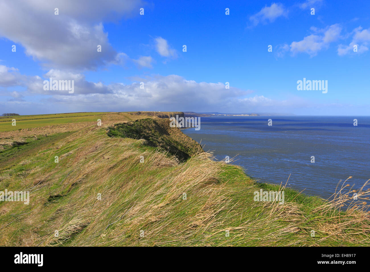 Cleveland Weise National Trail, Filey, North Yorkshire, England, UK. Stockfoto