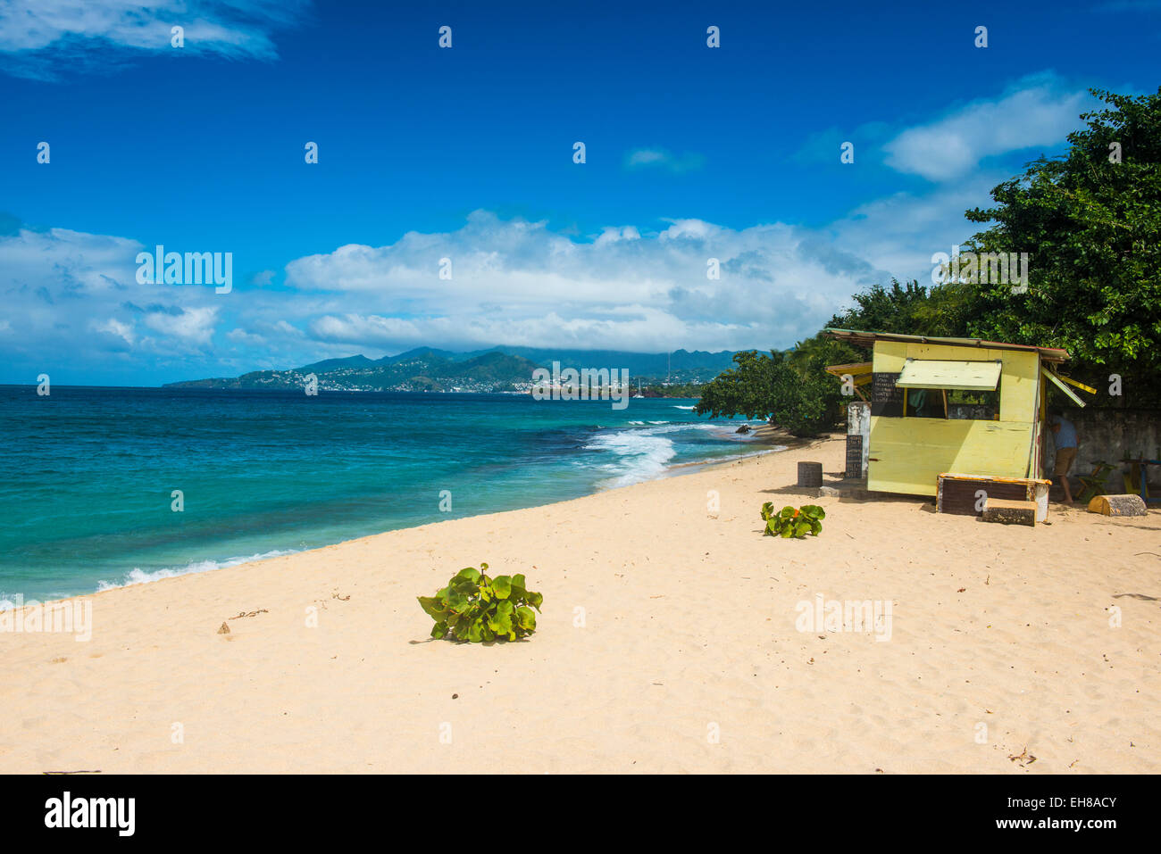 Magazin-Beach, Grenada, Windward Islands, West Indies, Karibik, Mittelamerika Stockfoto