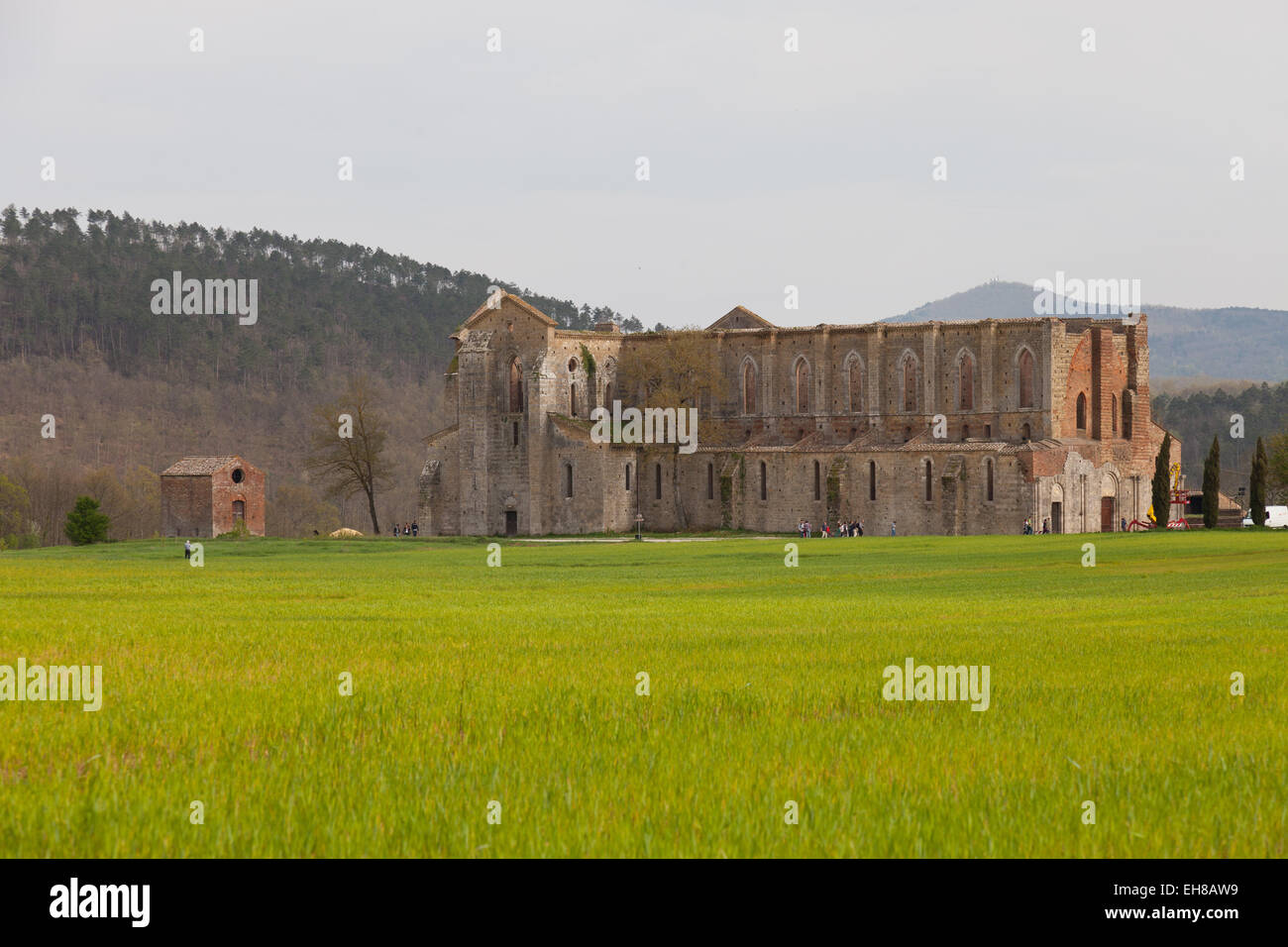 Abbey san galgano siena Fotos und Bildmaterial in hoher Auflösung Alamy