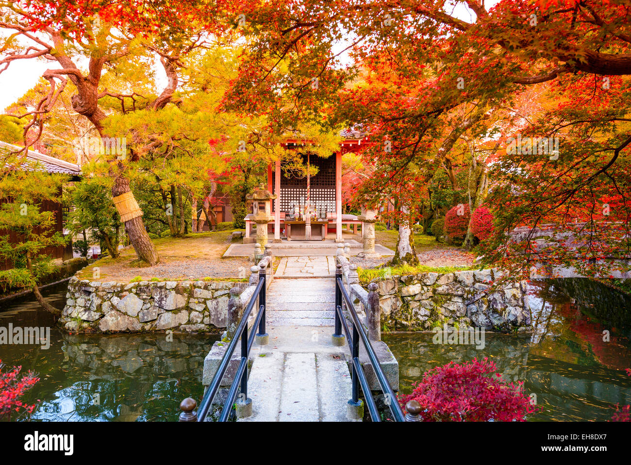 Herbstlaub in Kyoto, Japan. Stockfoto