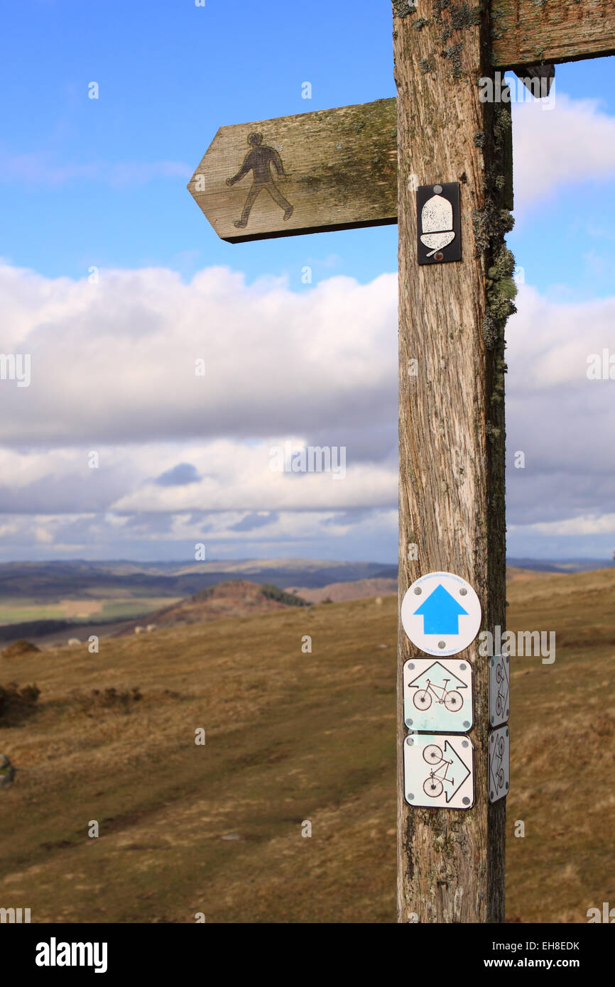 Hergest Ridge Offas Dyke Fußweg Zeichen verläuft entlang der Anhöhe 426m entlang der Grenze von England und wales Stockfoto