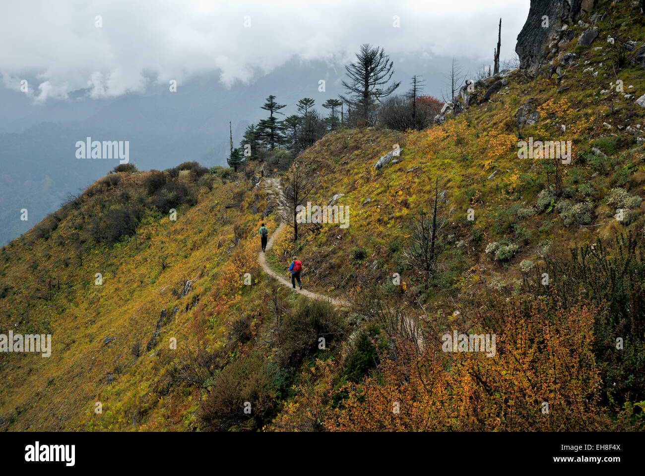 BU00292-00... BHUTAN - Trekker absteigend die felsigen Pfad von Thombu La Paro Chhu Valley auf der Jhomolhari 2 Trek. Stockfoto