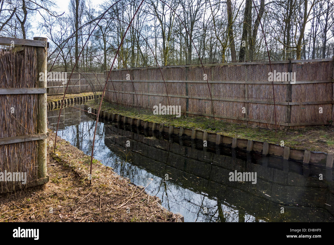 Ente Lockvogel-Struktur verwendet für den Fang von Wildenten Rohr gebildet durch Reifen mit Netzgewebe flankiert von Reed-Bildschirme zeigen Stockfoto