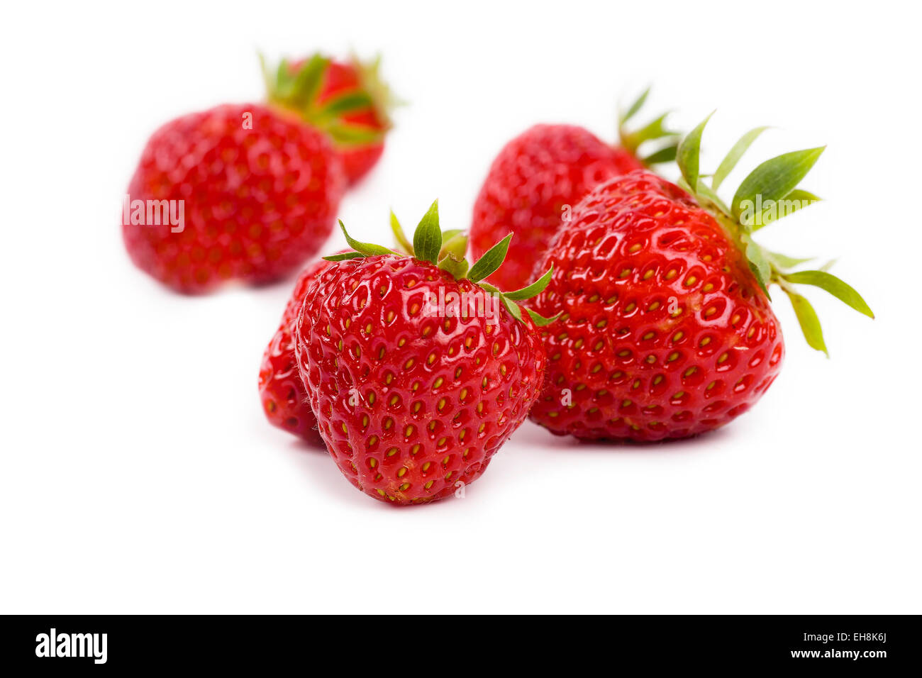 Nordöstlichen Amerika angebaut Erdbeeren auf weißem Hintergrund.  Vielfalt heißt Juwel. Stockfoto